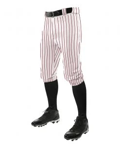Discount ⌛ LeTrell Youth Pro Pinstripe Knicker Baseball Pants: P965-2Y 🔔